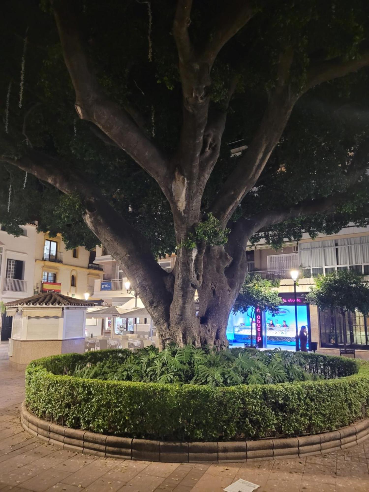 Fuengirola Center Sweet&Beach Exteriör bild